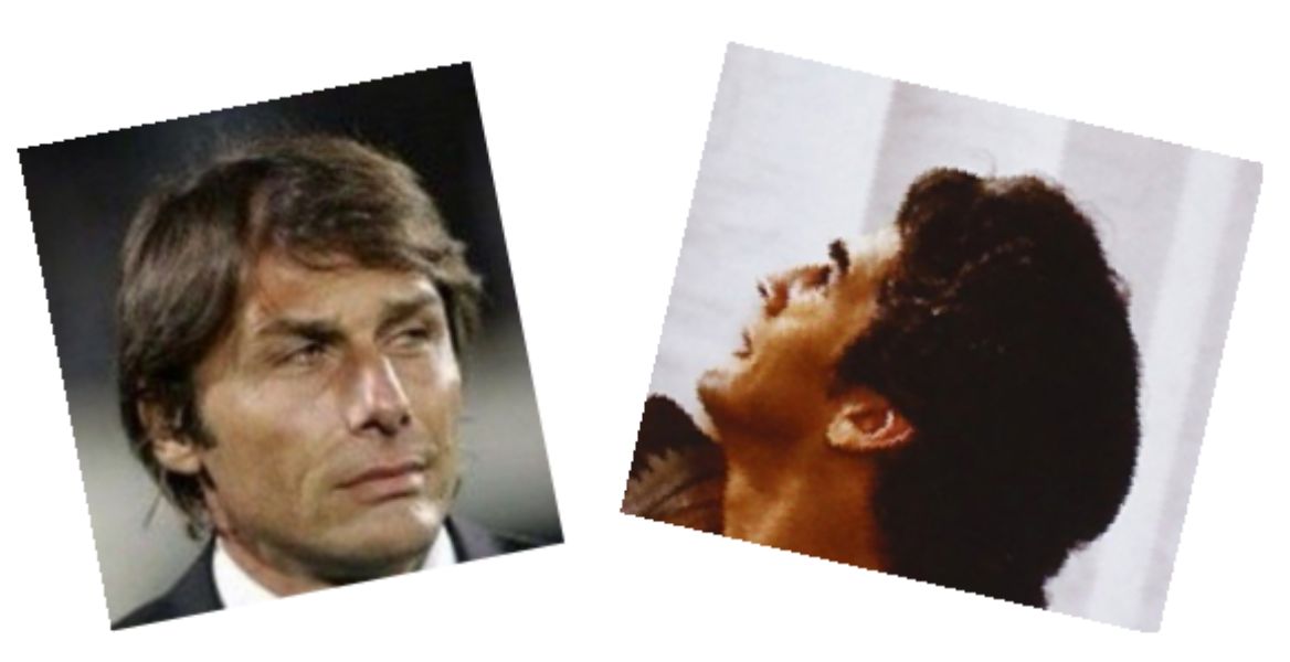 sansone.png